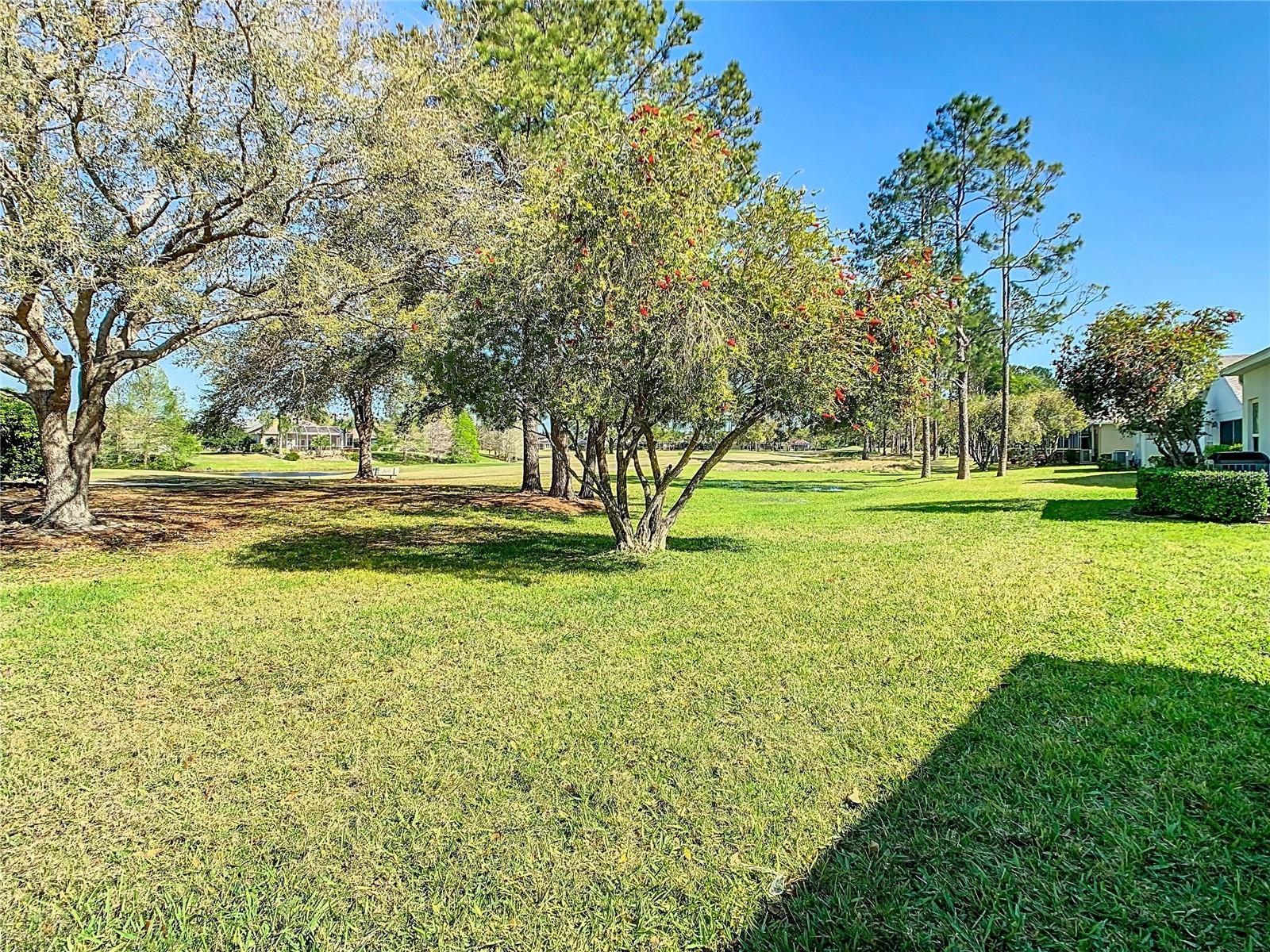 23901 CORAL RIDGE LN, LAND O LAKES, FL, 34639