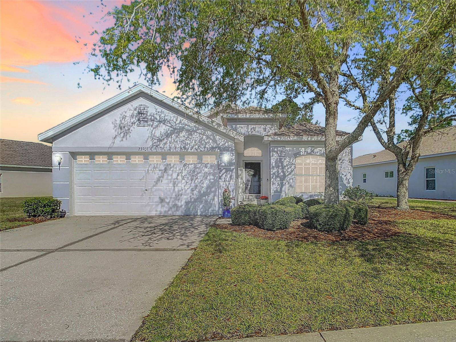 23901 CORAL RIDGE LN, LAND O LAKES, FL, 34639