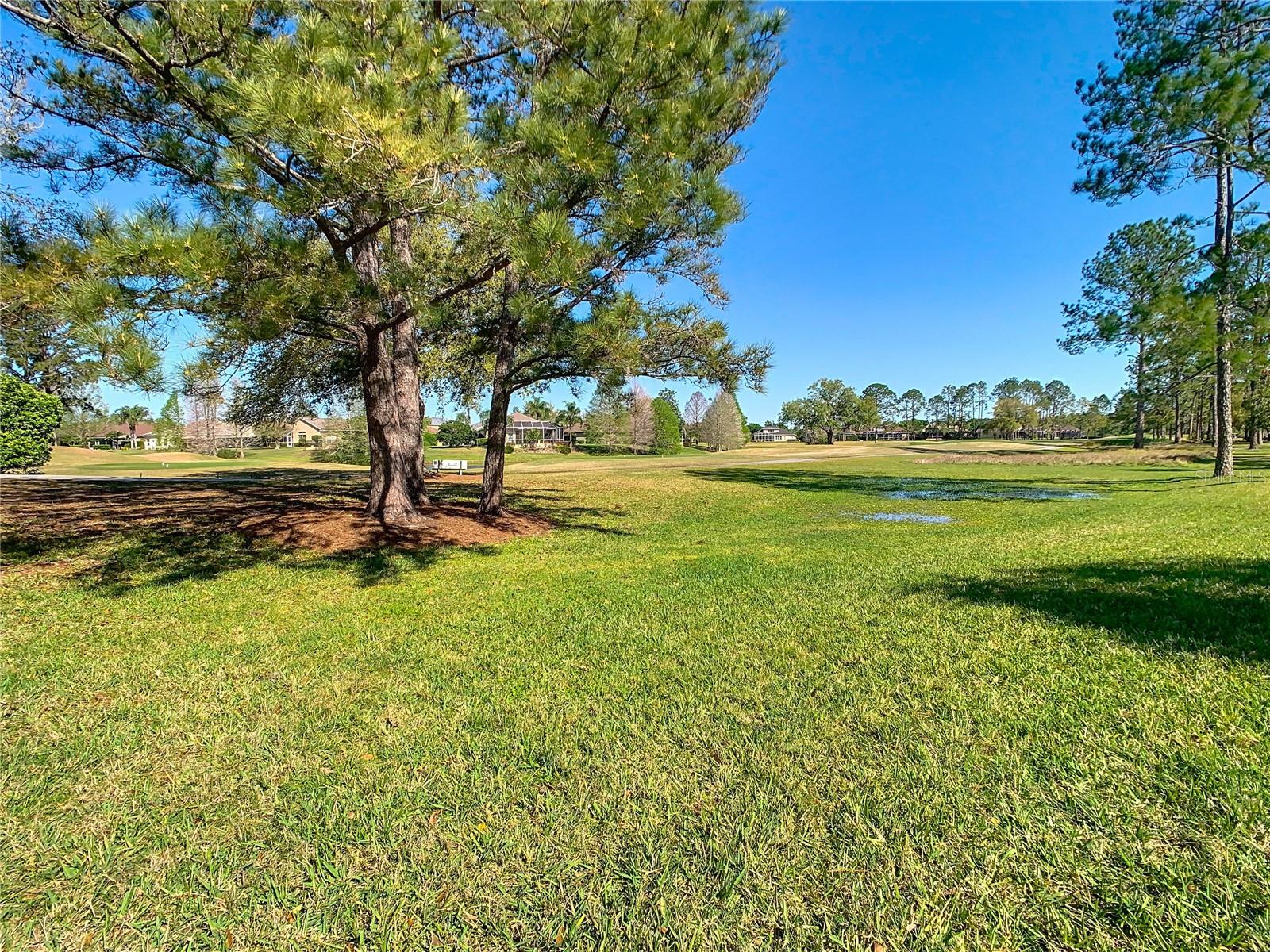 23901 CORAL RIDGE LN, LAND O LAKES, FL, 34639