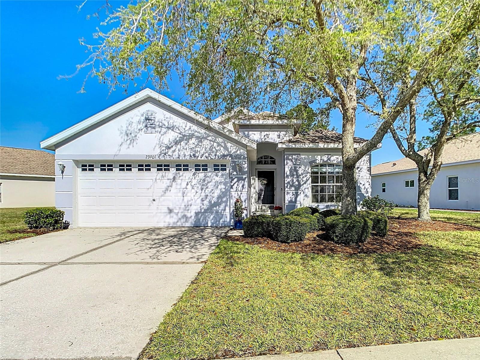 23901 CORAL RIDGE LN, LAND O LAKES, FL, 34639