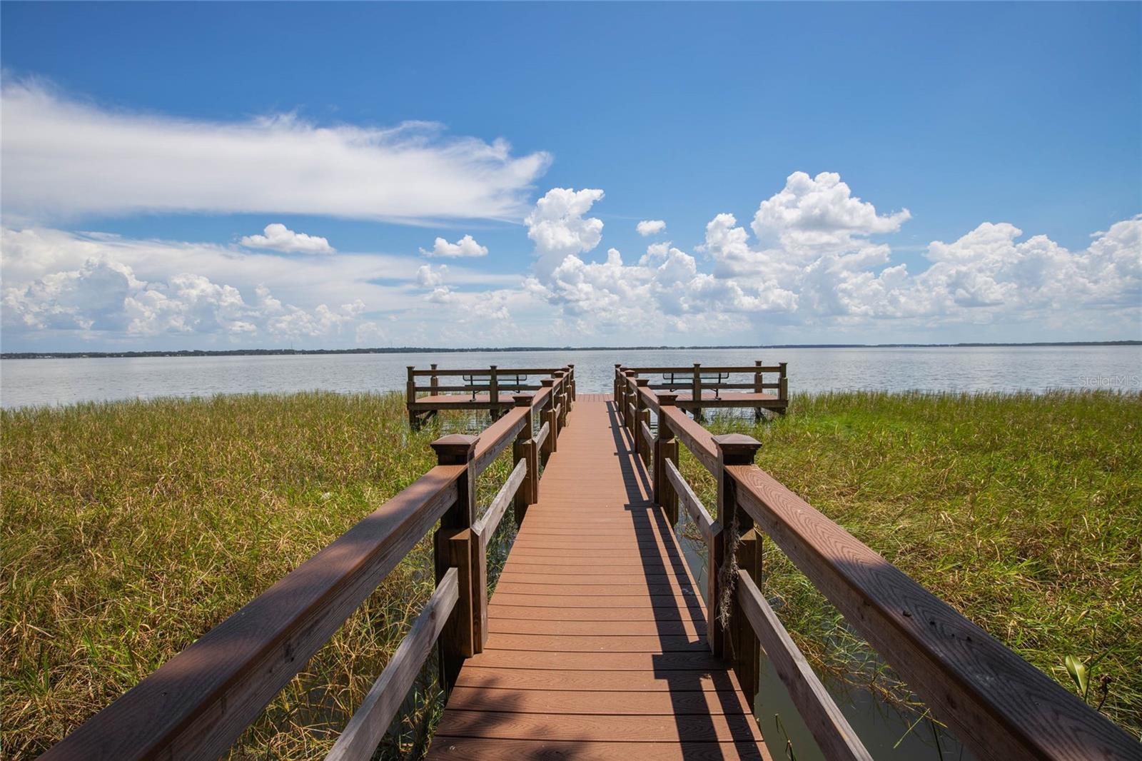 3225 SITE TO SEE AVE, EUSTIS, FL, 32726