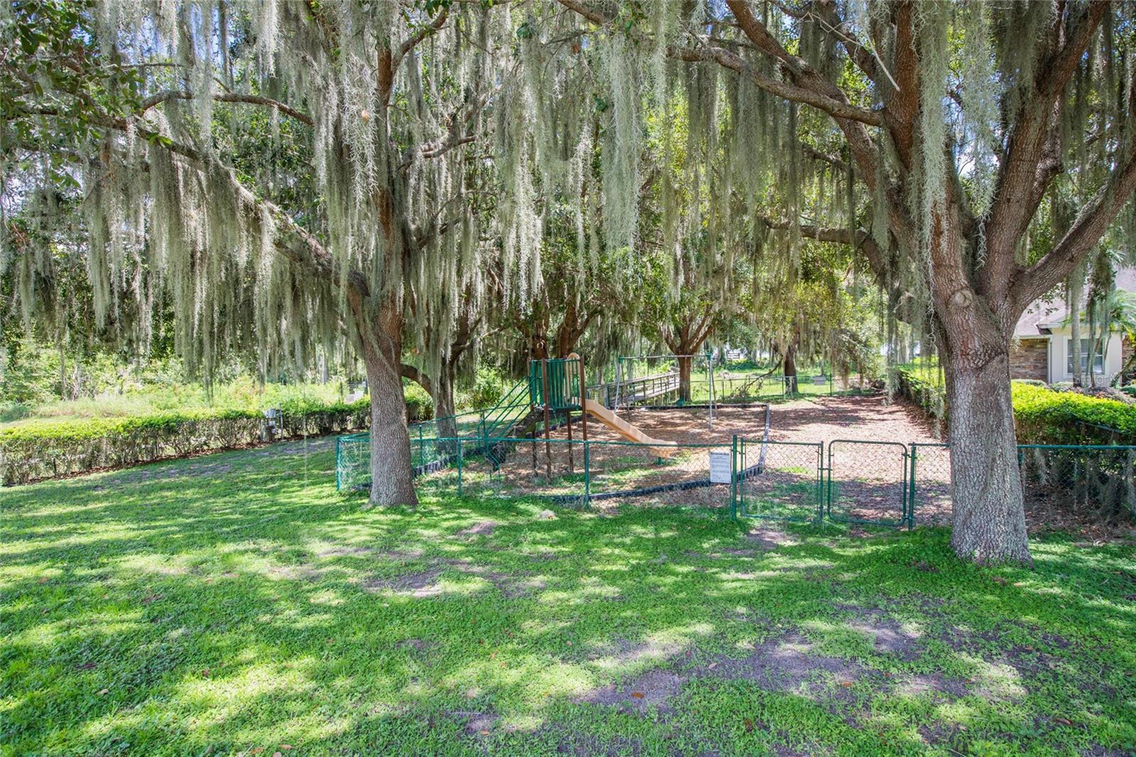 3225 SITE TO SEE AVE, EUSTIS, FL, 32726