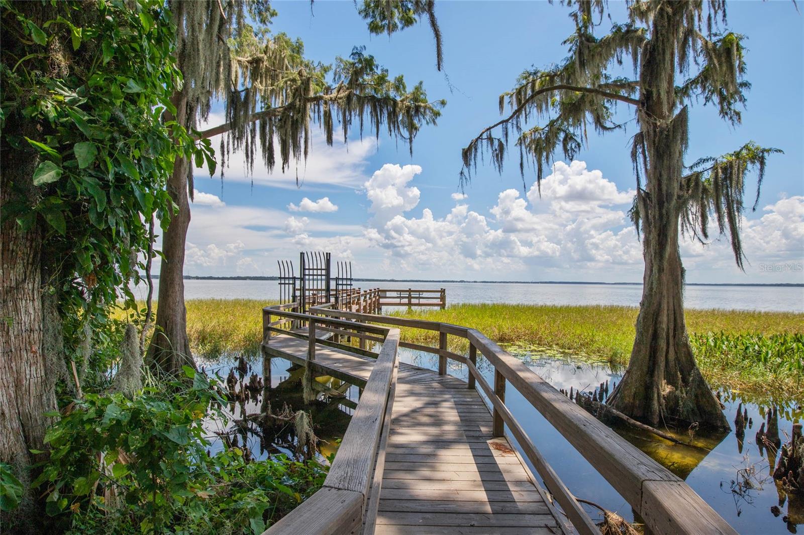 3225 SITE TO SEE AVE, EUSTIS, FL, 32726