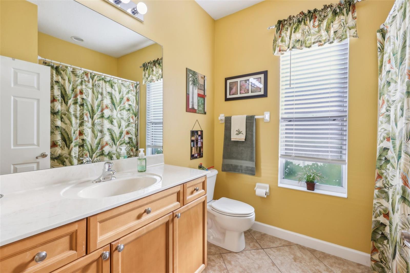3225 SITE TO SEE AVE, EUSTIS, FL, 32726