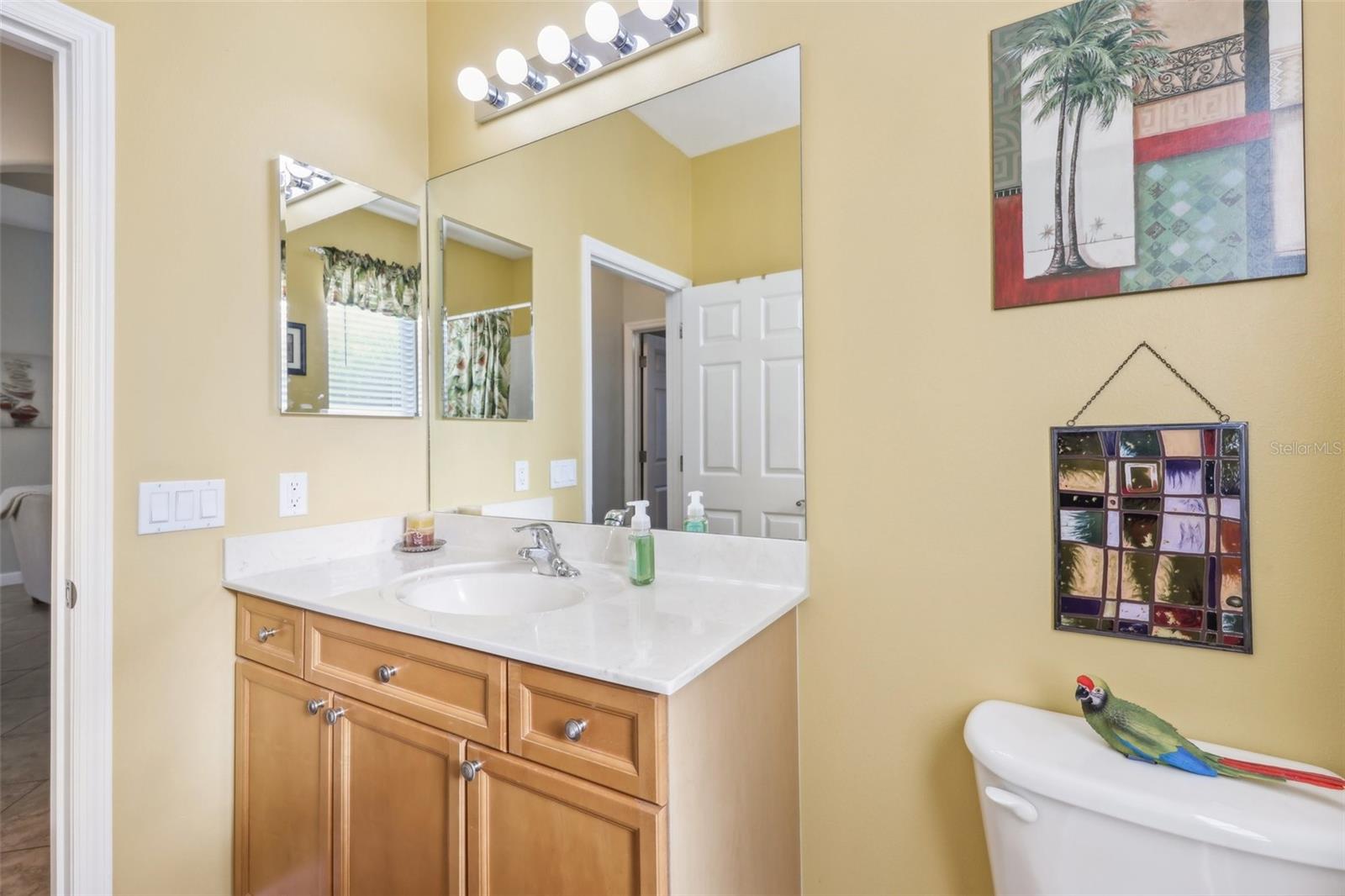 3225 SITE TO SEE AVE, EUSTIS, FL, 32726