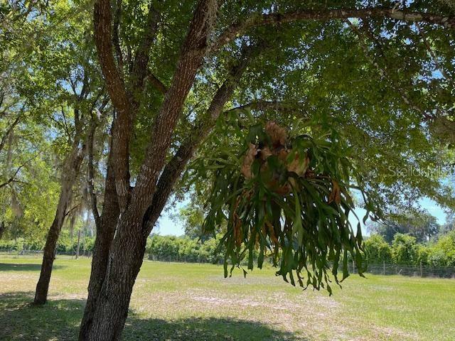 7317 SE 176TH ST, HAWTHORNE, FL, 32640