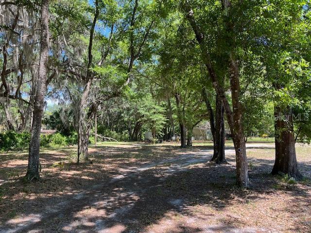 7317 SE 176TH ST, HAWTHORNE, FL, 32640