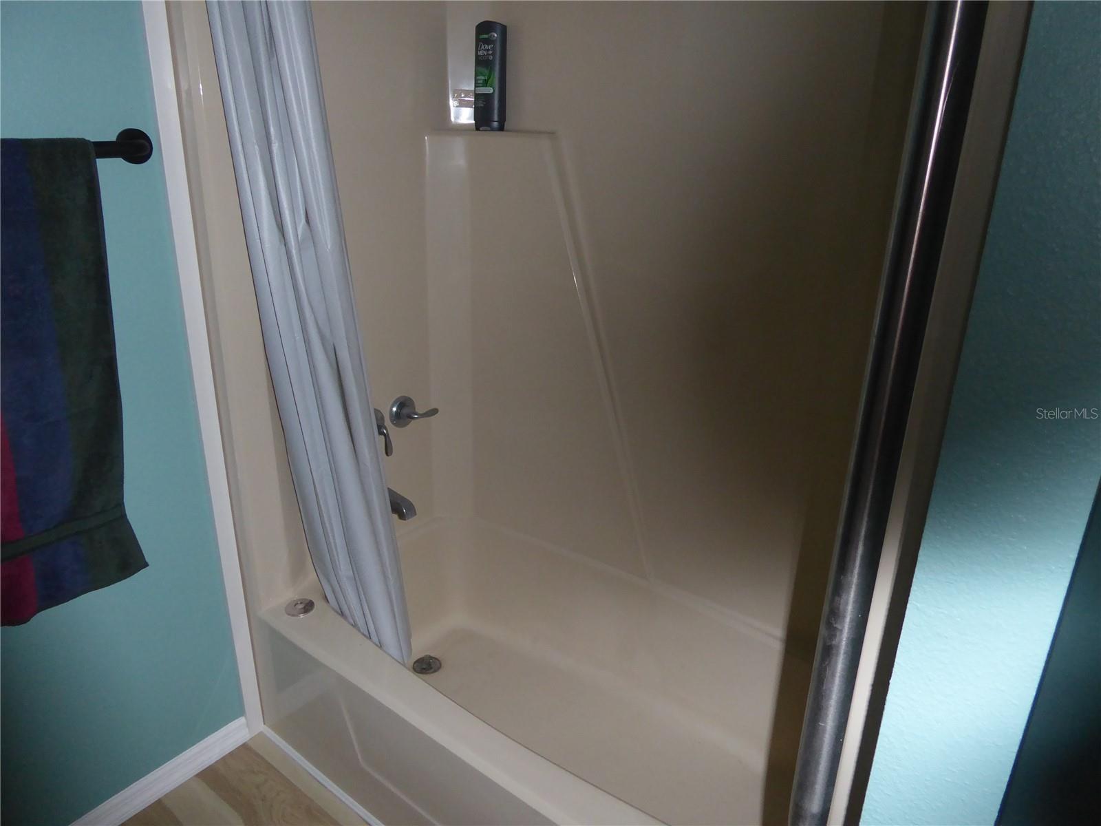 361 WADE PARK CT, DAVENPORT, FL, 33897