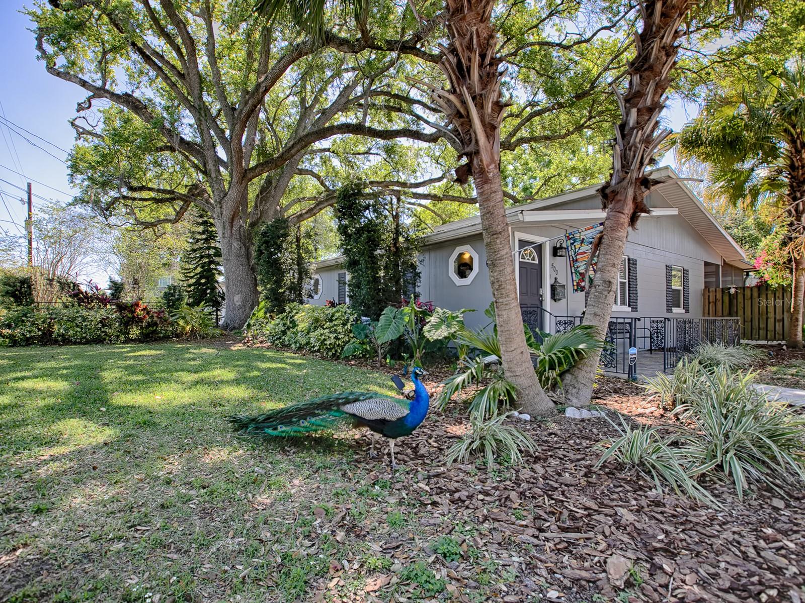 500 E CRYSTAL LAKE ST, ORLANDO, FL, 32806