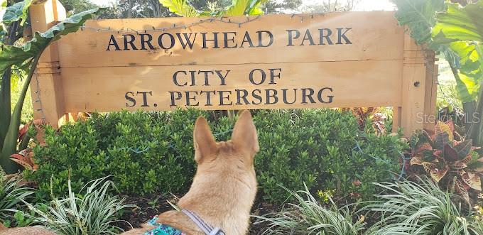 1936 ARROWHEAD DR NE, ST PETERSBURG, FL, 33703