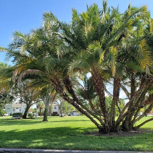 1936 ARROWHEAD DR NE, ST PETERSBURG, FL, 33703