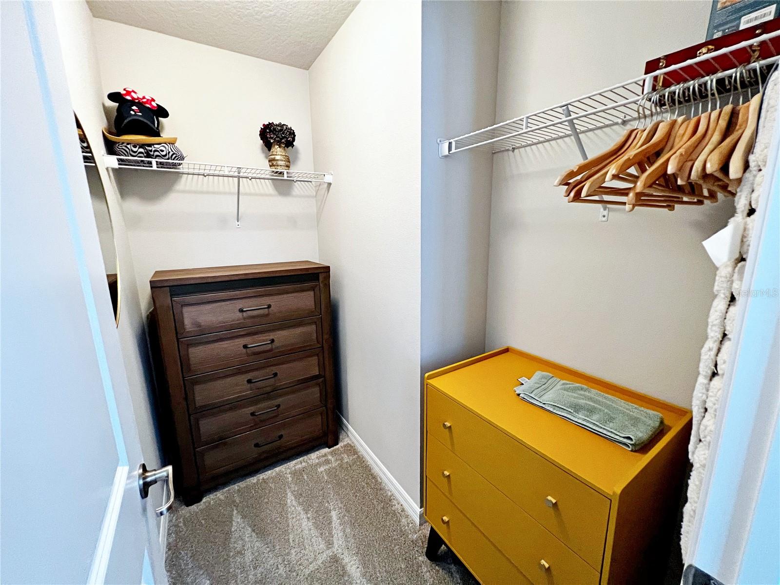 2205 GOPHER TORTOISE TER, OAKLAND, FL, 34787