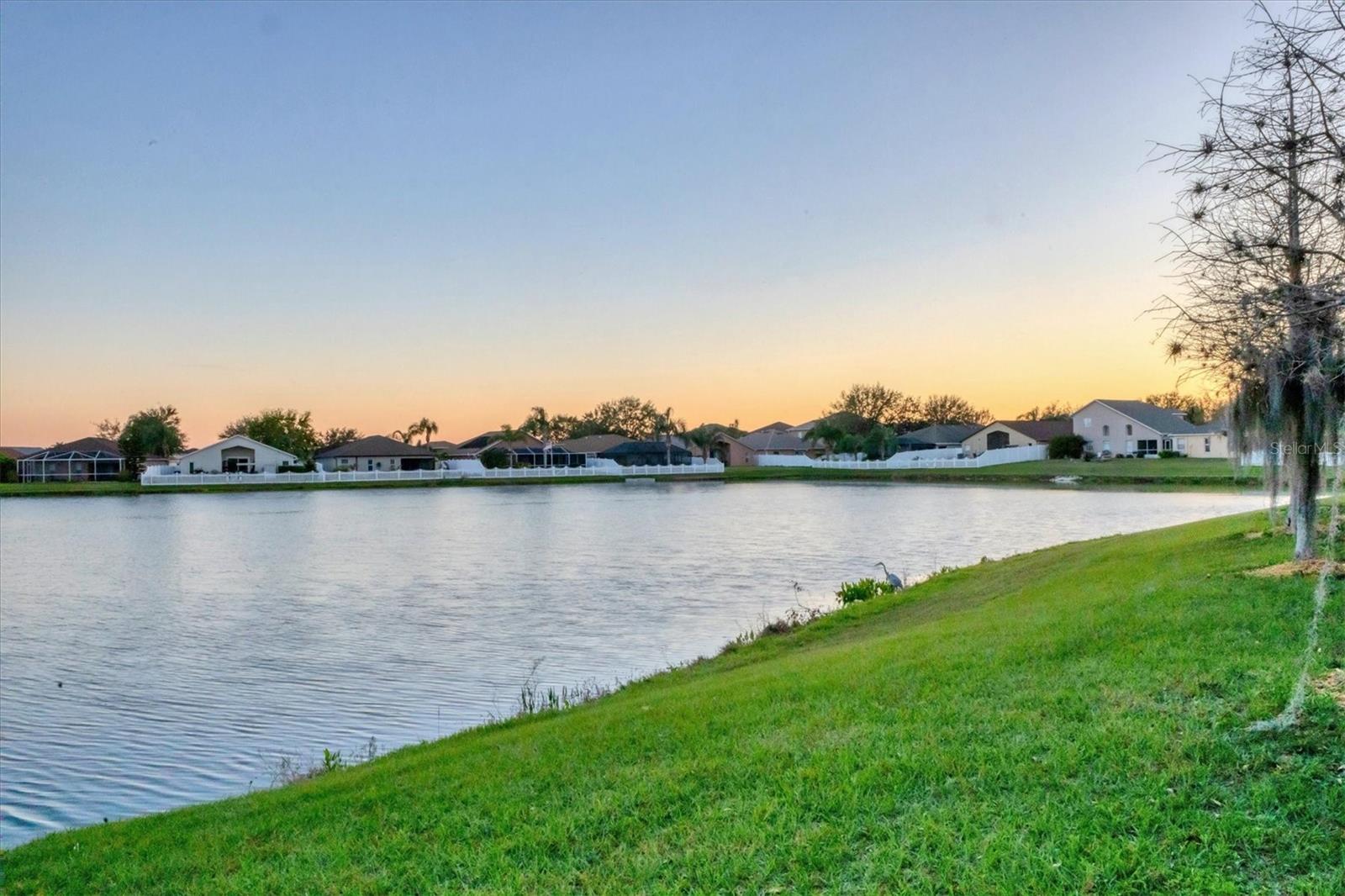 7135 ROYAL GEORGE CT, WESLEY CHAPEL, FL, 33545