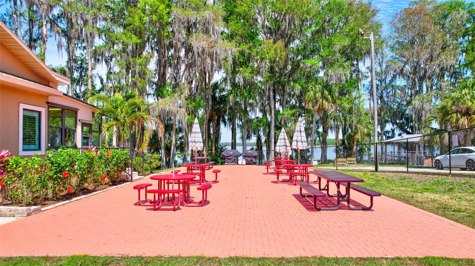 3210 MCMATH DR, PALM HARBOR, FL, 34684