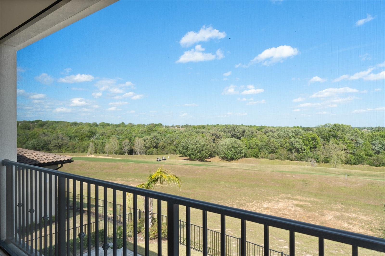 16302 RAVENNA CT, BELLA COLLINA, FL, 34756