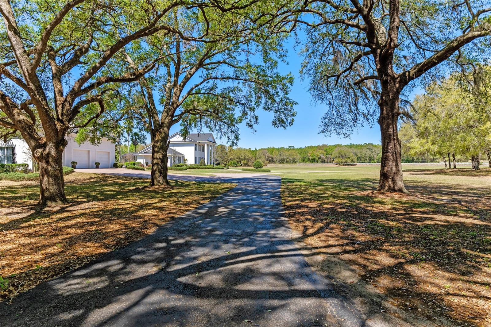 19845 COUNTY ROAD 561, CLERMONT, FL, 34715