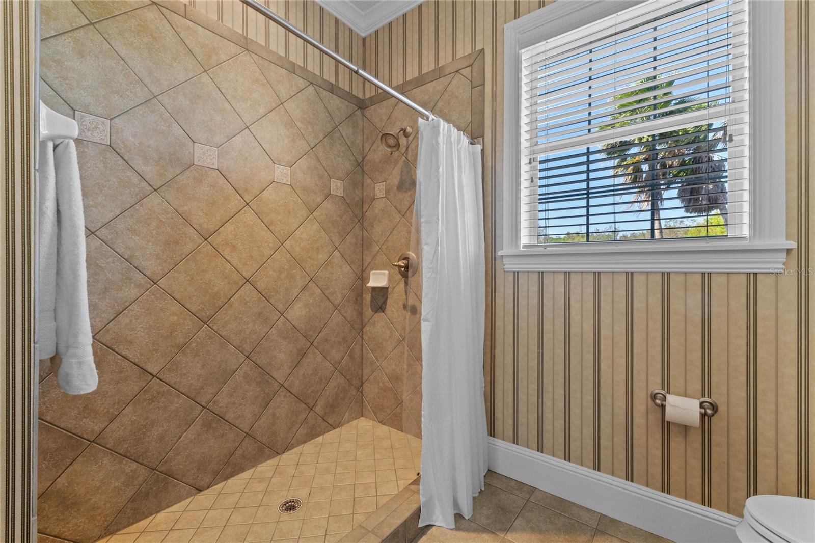 19845 COUNTY ROAD 561, CLERMONT, FL, 34715