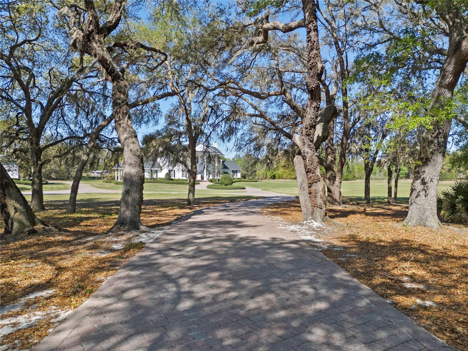 19845 COUNTY ROAD 561, CLERMONT, FL, 34715