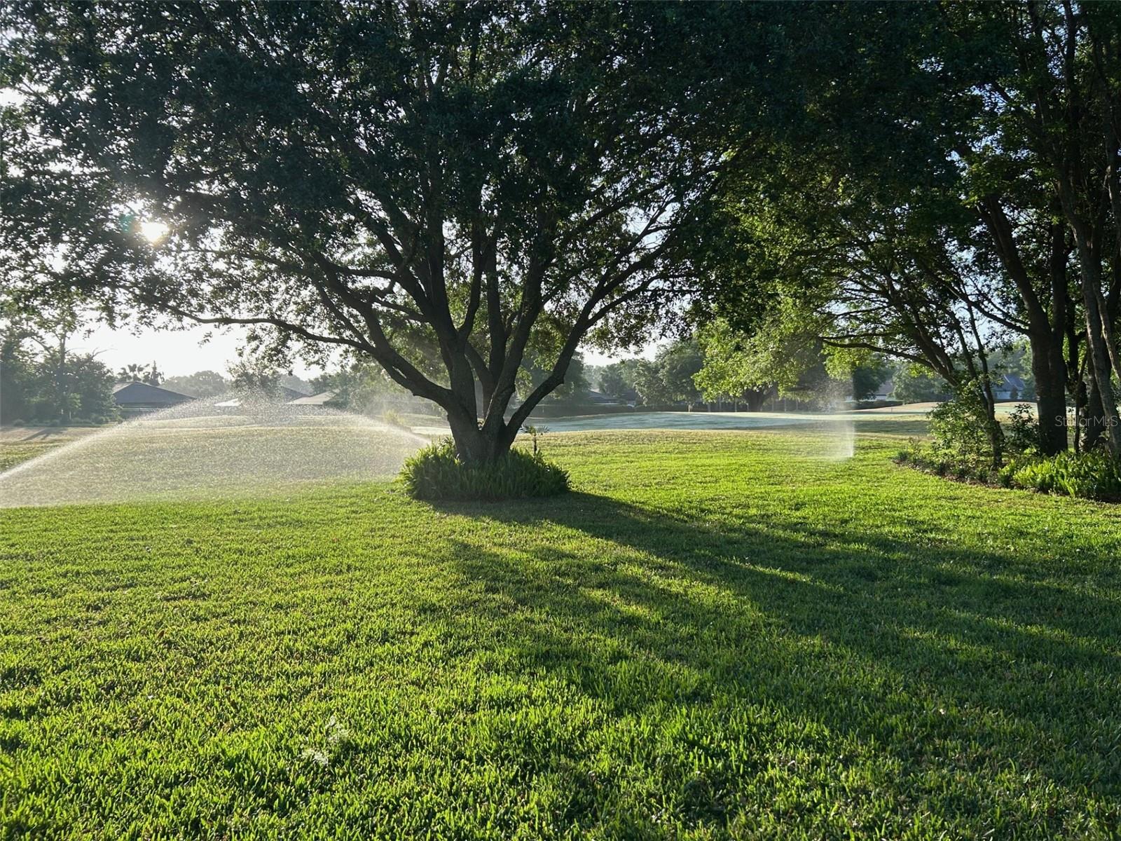 25879 CROSSINGS BLUFF LN, SORRENTO, FL, 32776