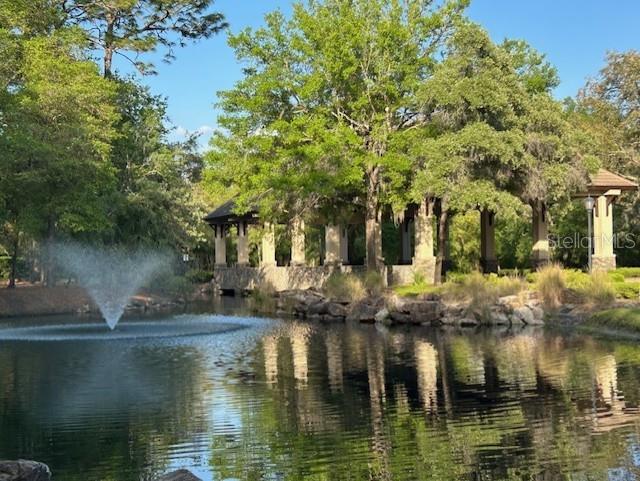 25879 CROSSINGS BLUFF LN, SORRENTO, FL, 32776