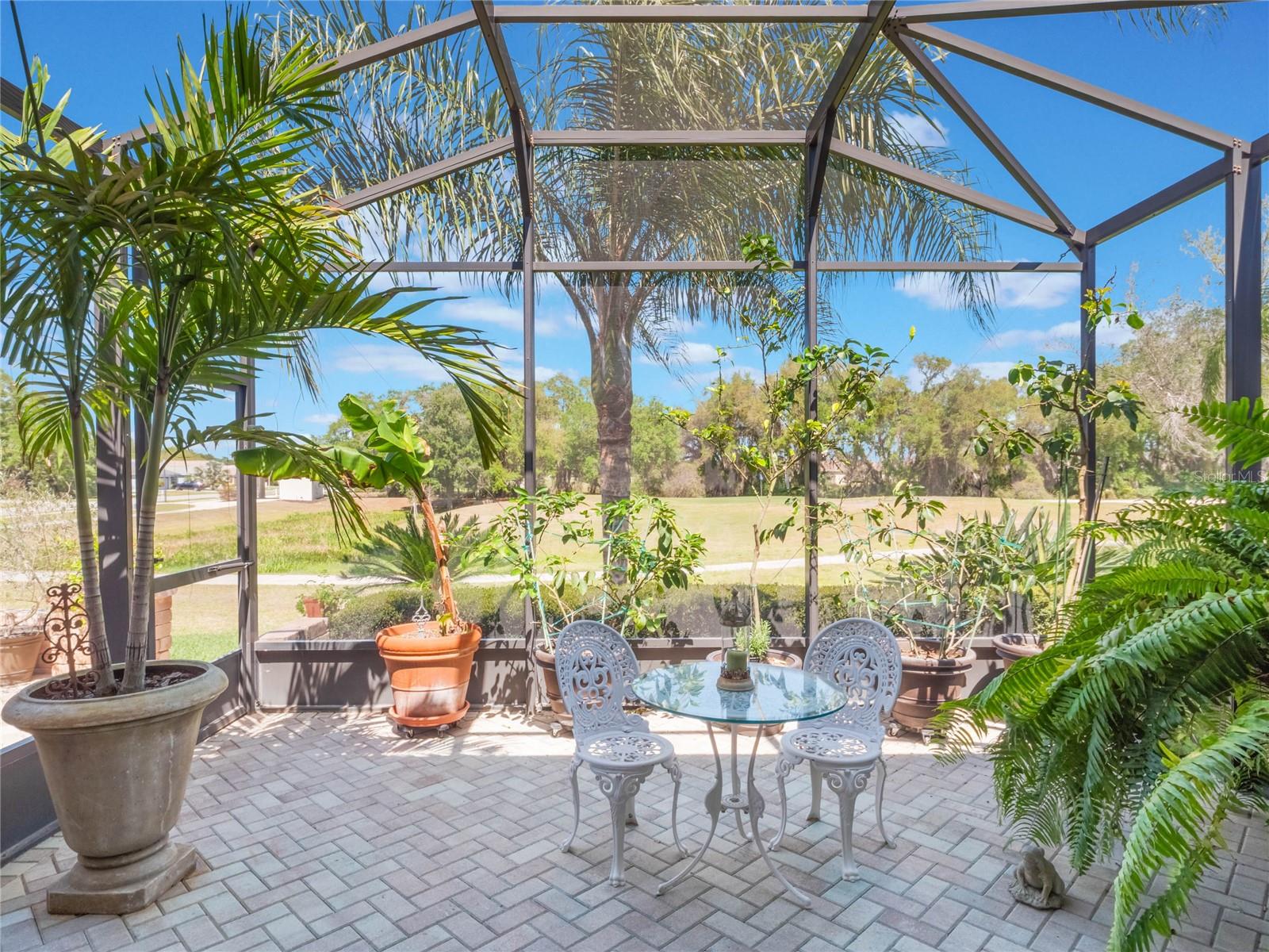 26694 OTTER CREEK LN, LEESBURG, FL, 34748