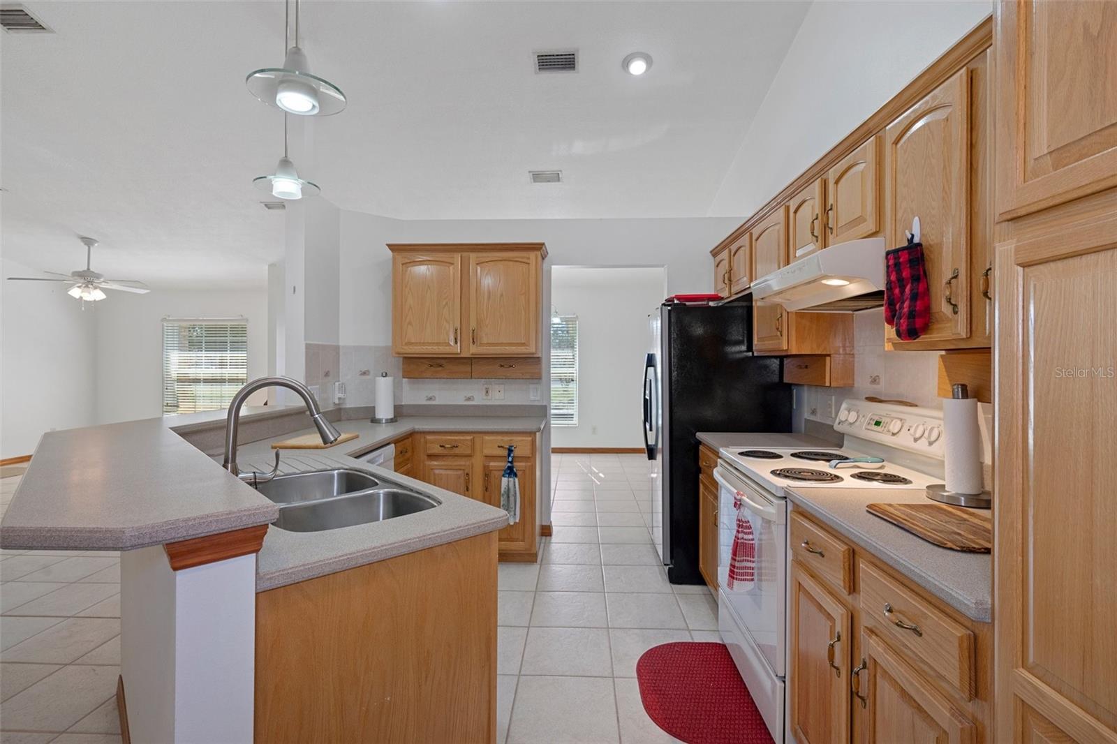 3706 S BLUE SKY PT, HOMOSASSA, FL, 34448