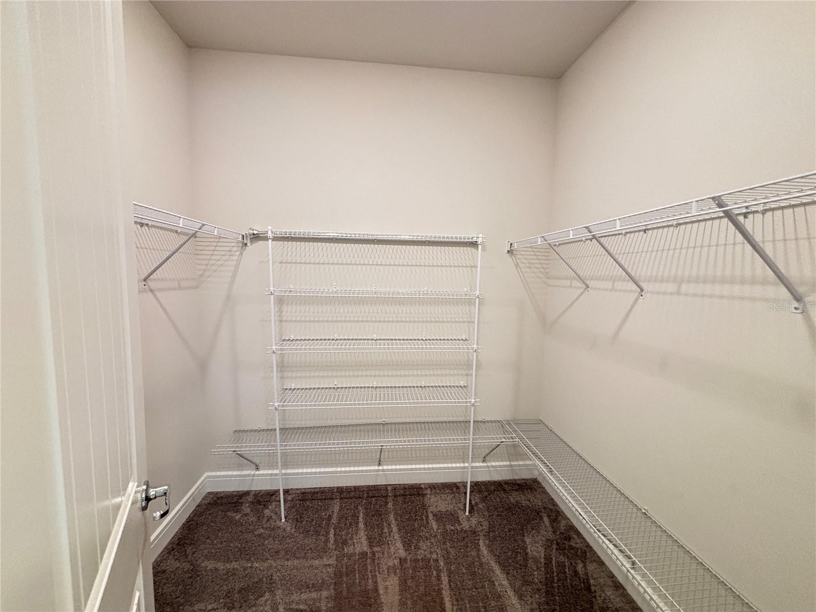 6119 BRADFORD WOODS DR, ZEPHYRHILLS, FL, 33542