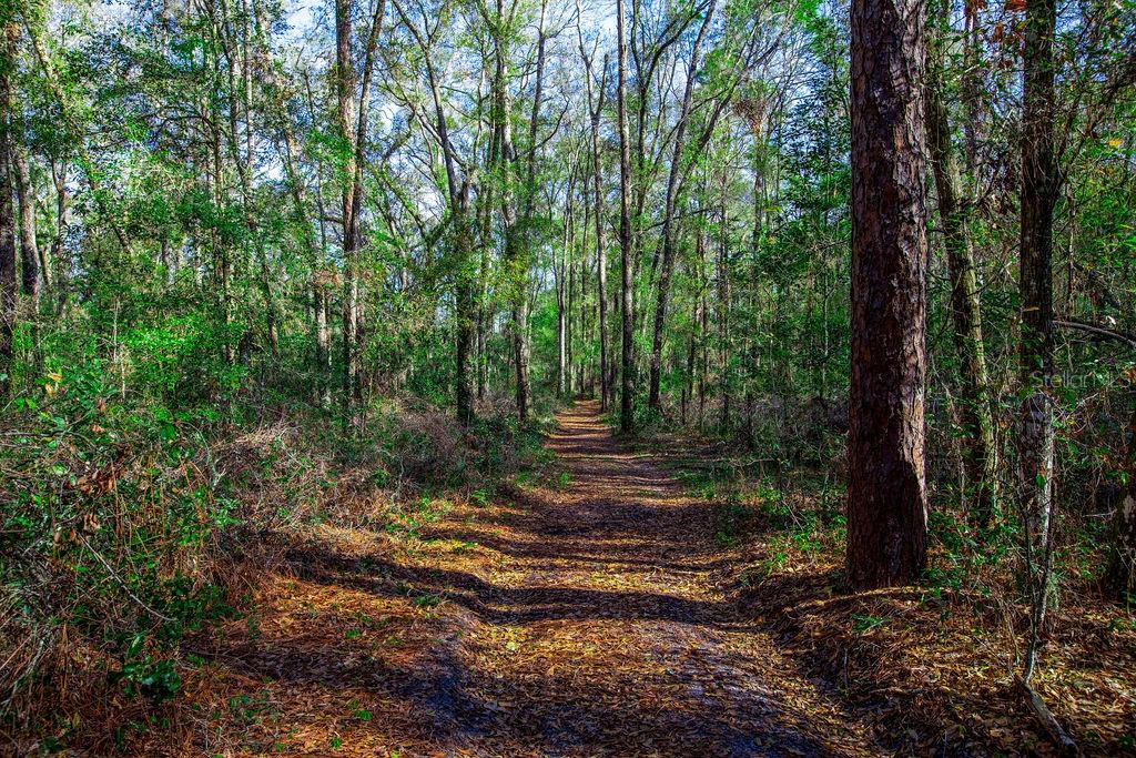 0 SW 103RD ST, GAINESVILLE, FL, 32608