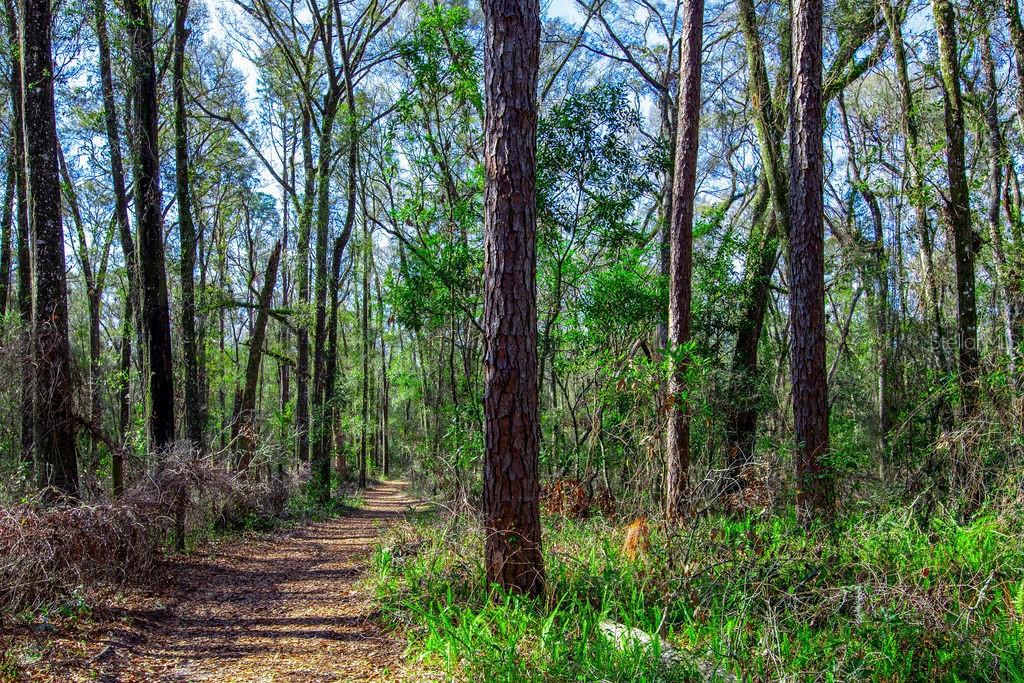 0 SW 103RD ST, GAINESVILLE, FL, 32608