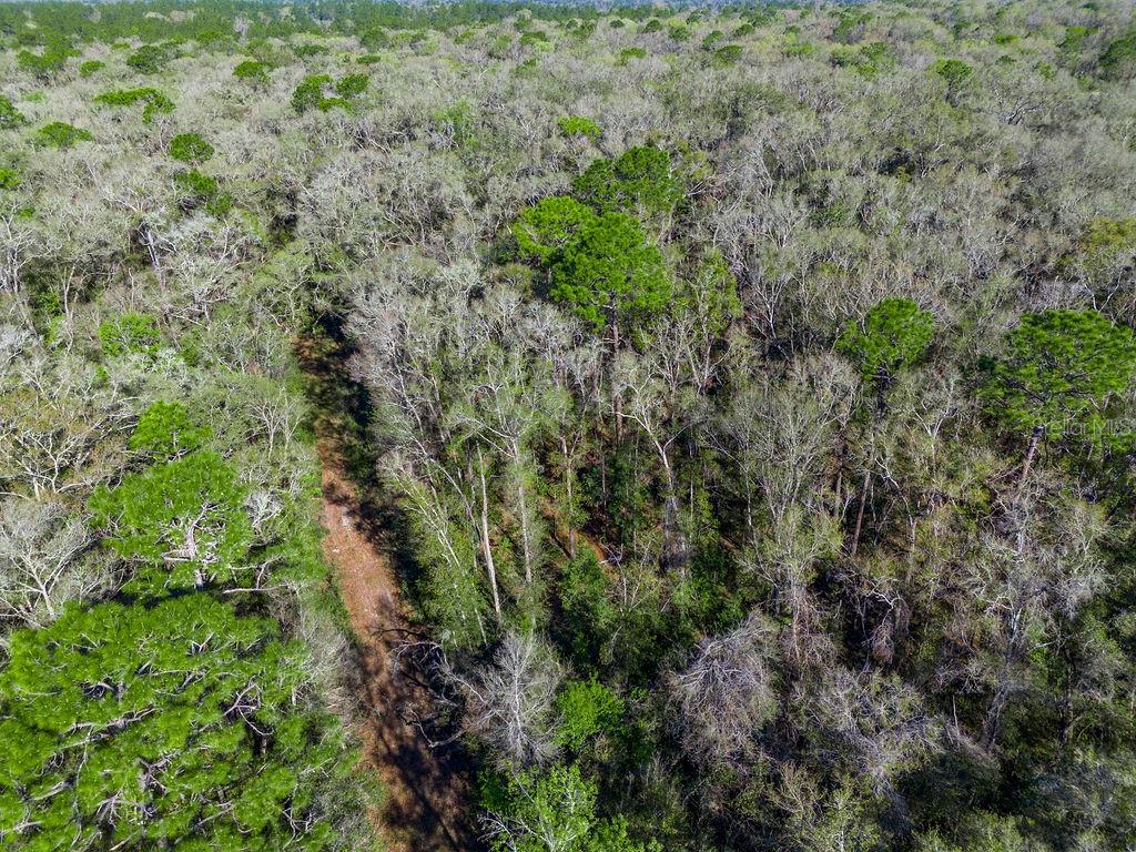 0 SW 103RD ST, GAINESVILLE, FL, 32608