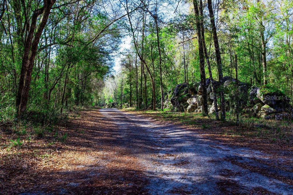 0 SW 103RD ST, GAINESVILLE, FL, 32608