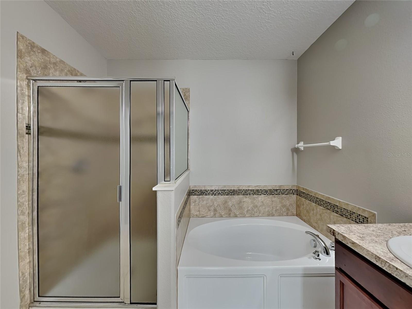 3720 BRIARWOOD ESTATES CIR, ST CLOUD, FL, 34772