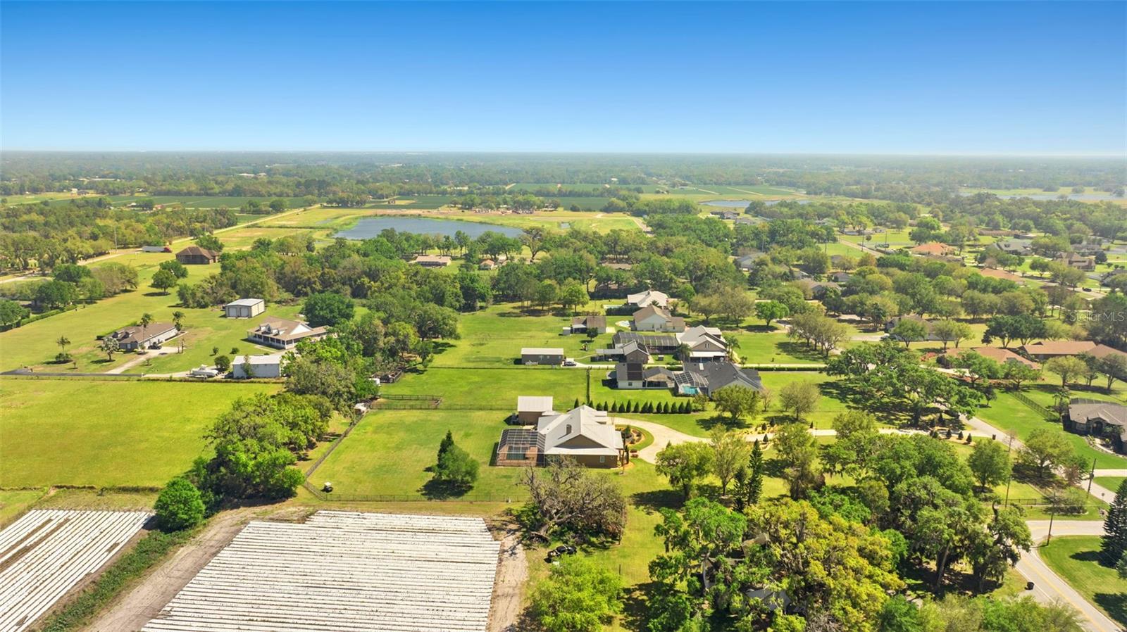 13206 LEWIS RAULERSON ROAD, DOVER, FL, 33527