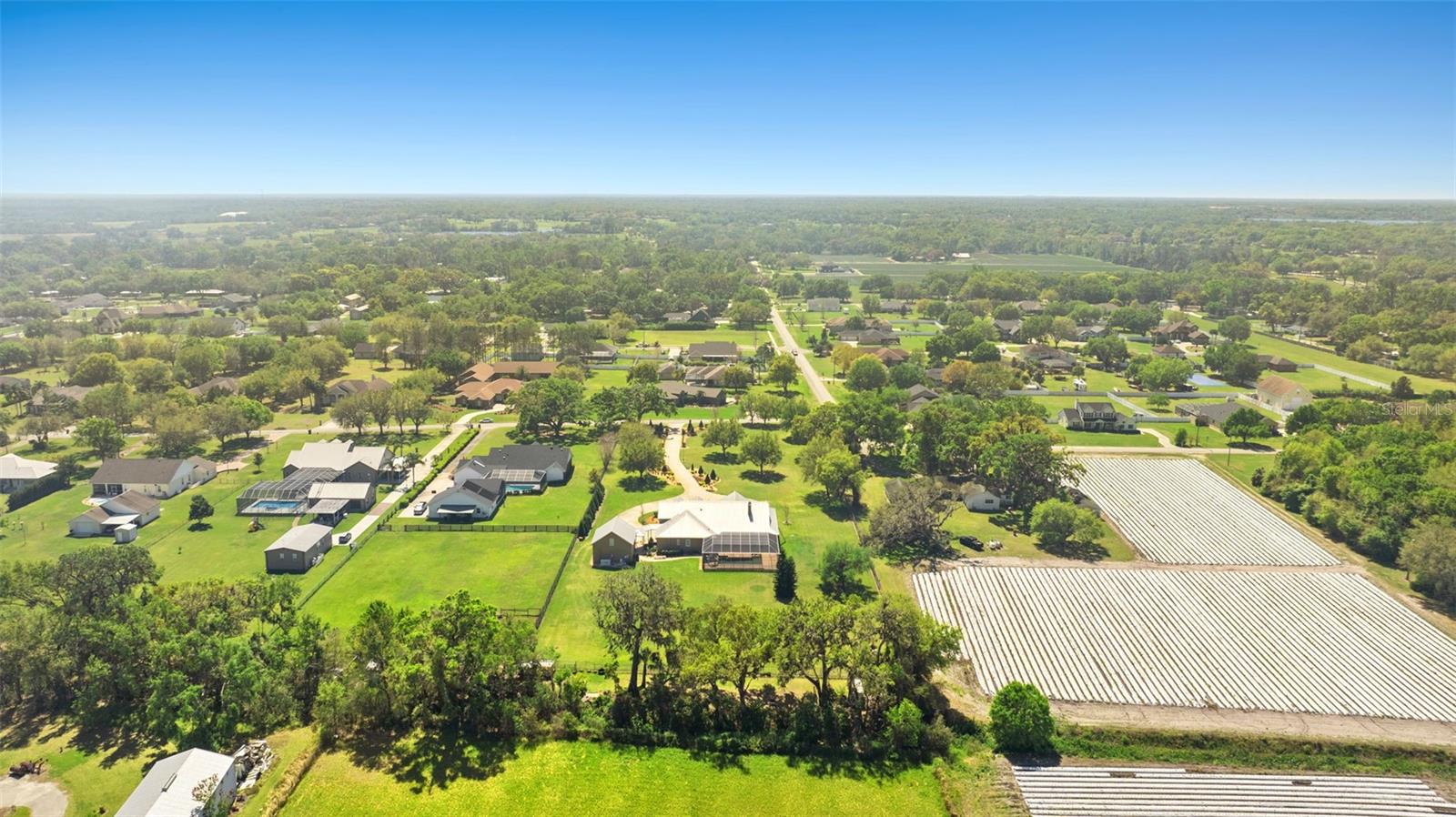 13206 LEWIS RAULERSON ROAD, DOVER, FL, 33527