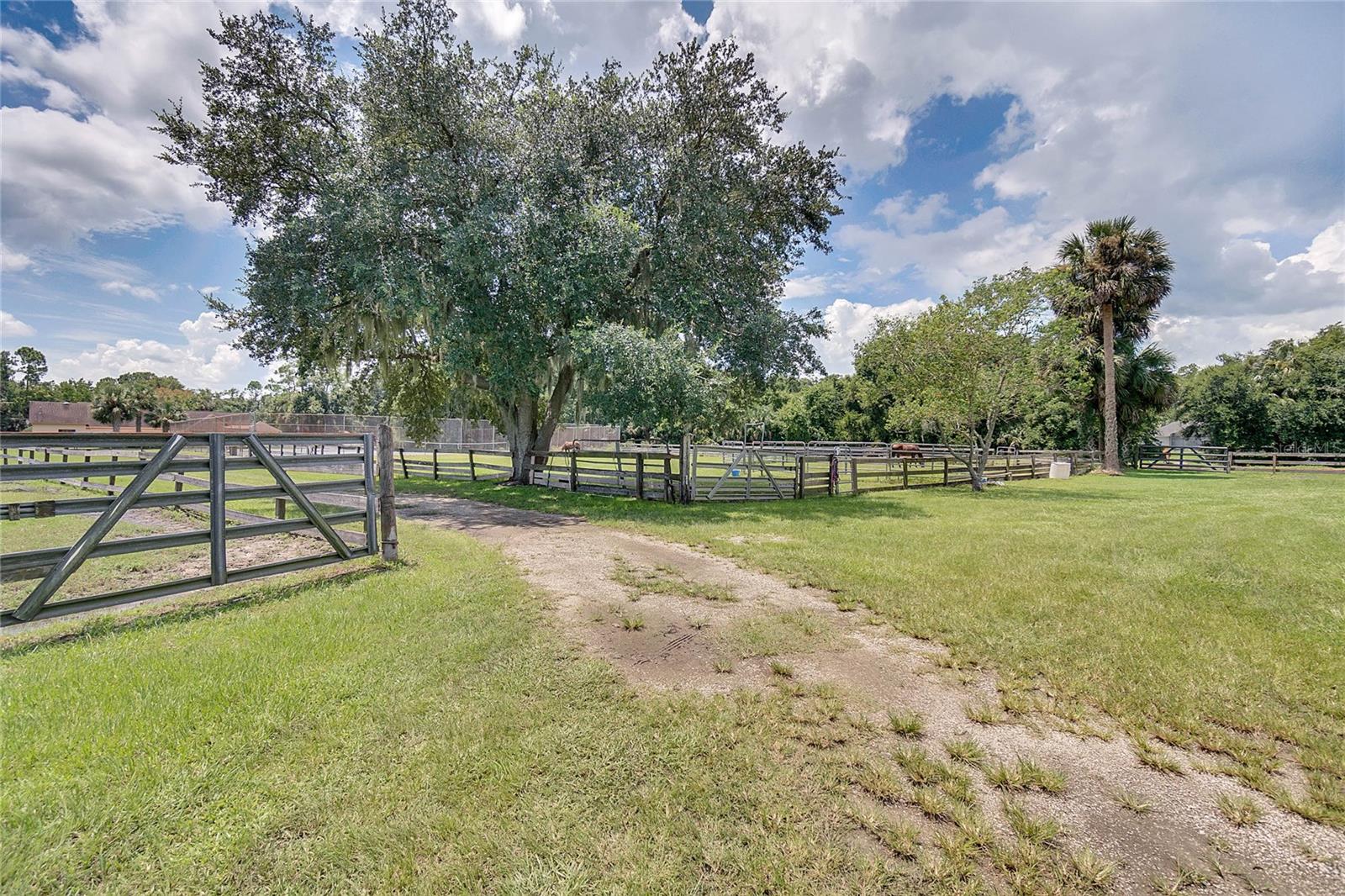 1475 WARRIOR TRL, ENTERPRISE, FL, 32725