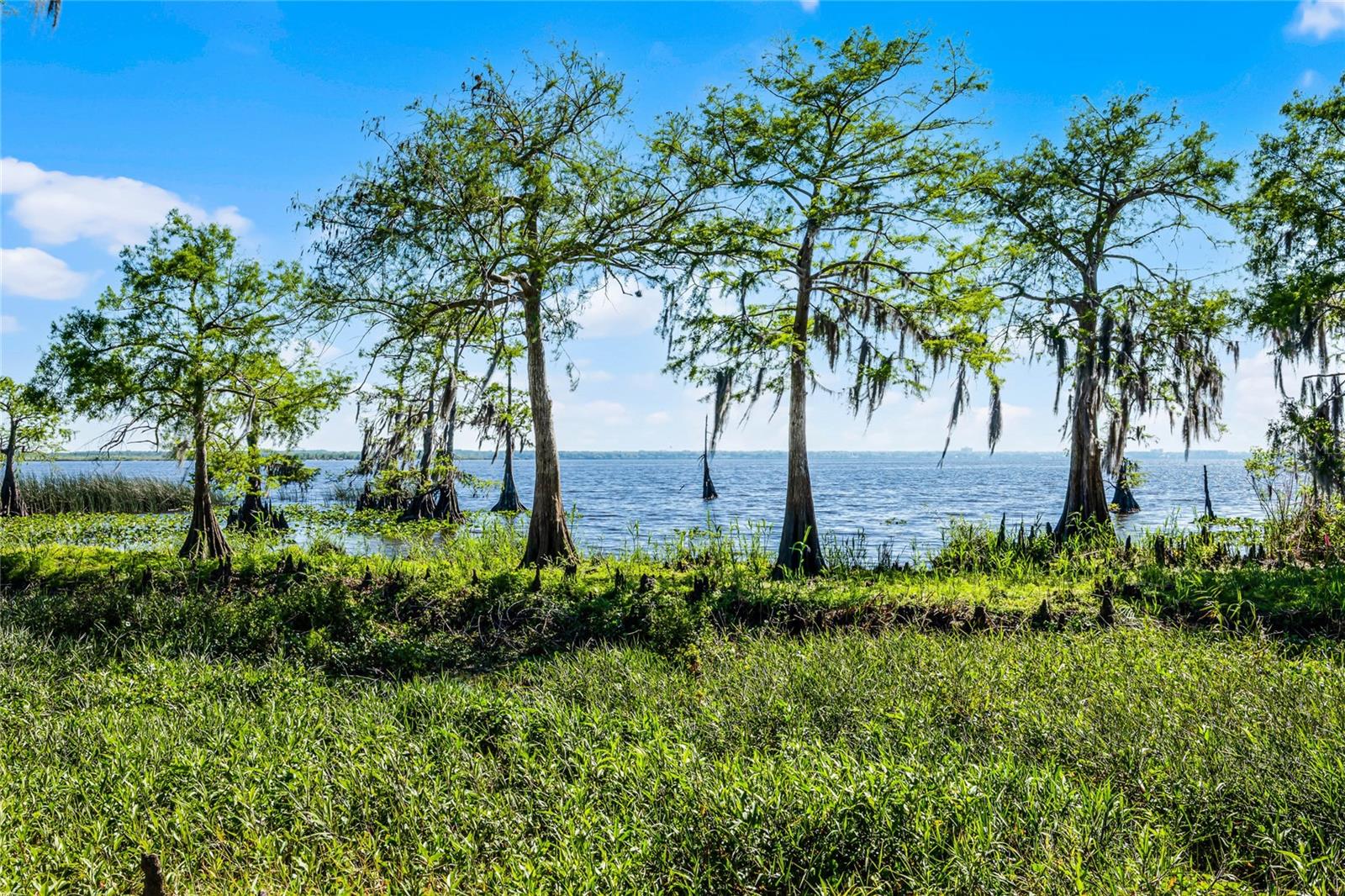 1475 WARRIOR TRL, ENTERPRISE, FL, 32725