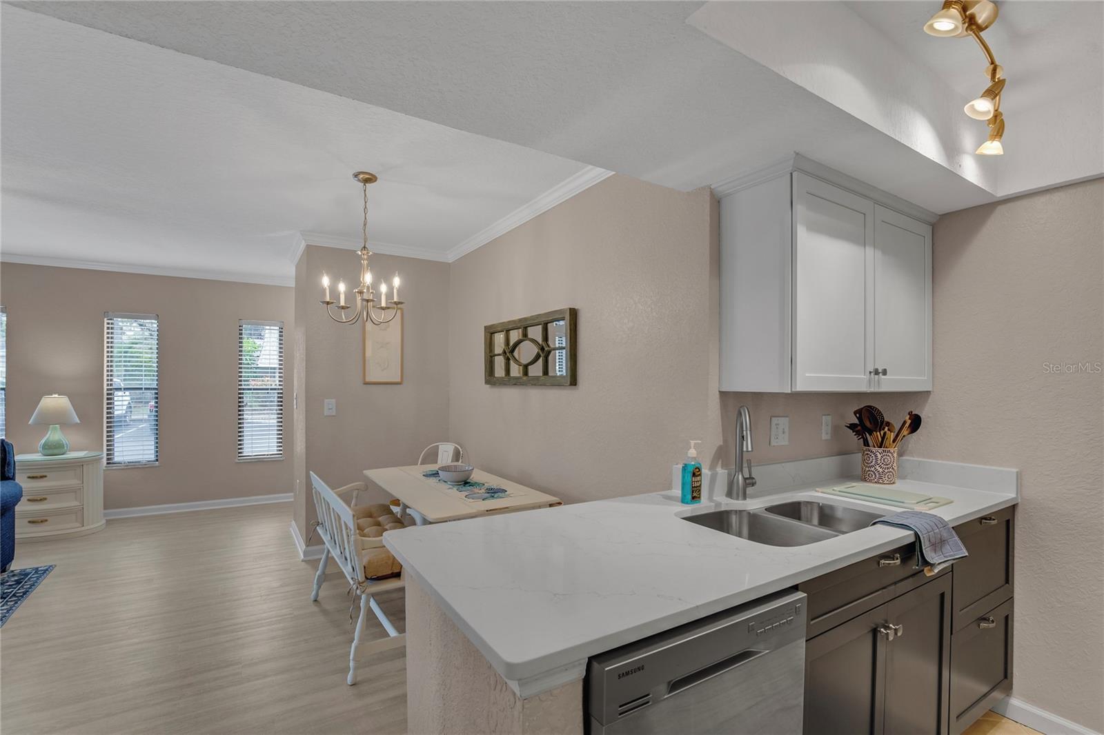 716 LYNDHURST ST #701, DUNEDIN, FL, 34698