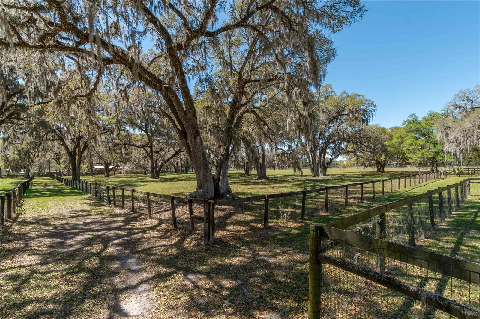 15651 NW 115TH CT, REDDICK, FL, 32686