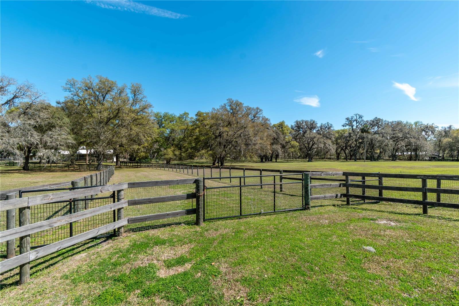 15651 NW 115TH CT, REDDICK, FL, 32686