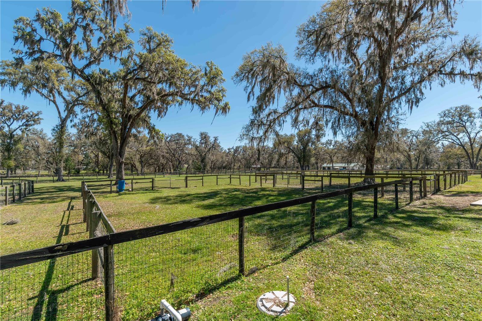15651 NW 115TH CT, REDDICK, FL, 32686