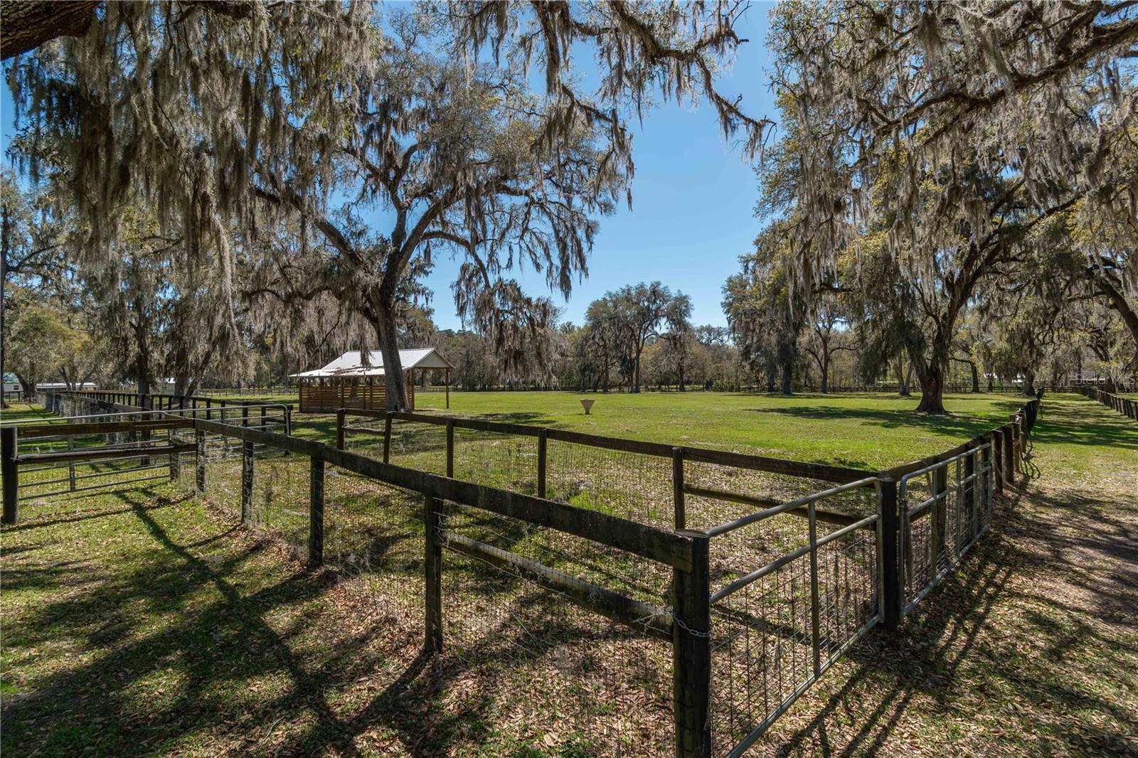 15651 NW 115TH CT, REDDICK, FL, 32686