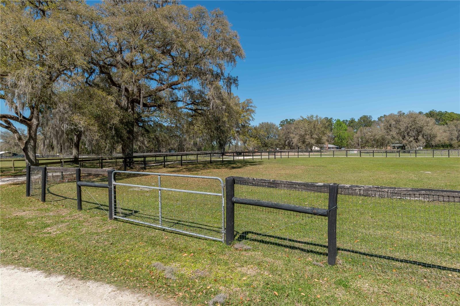 15651 NW 115TH CT, REDDICK, FL, 32686