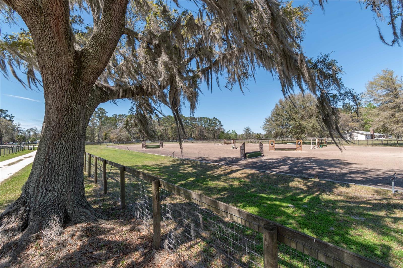 15651 NW 115TH CT, REDDICK, FL, 32686