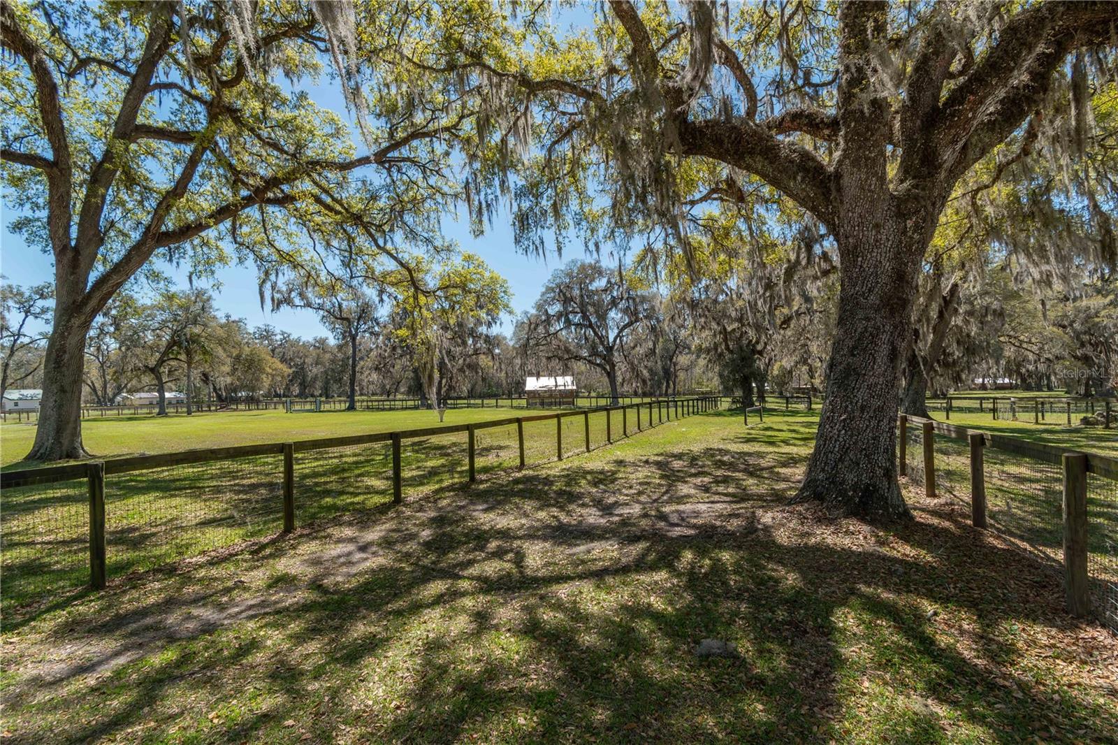 15651 NW 115TH CT, REDDICK, FL, 32686