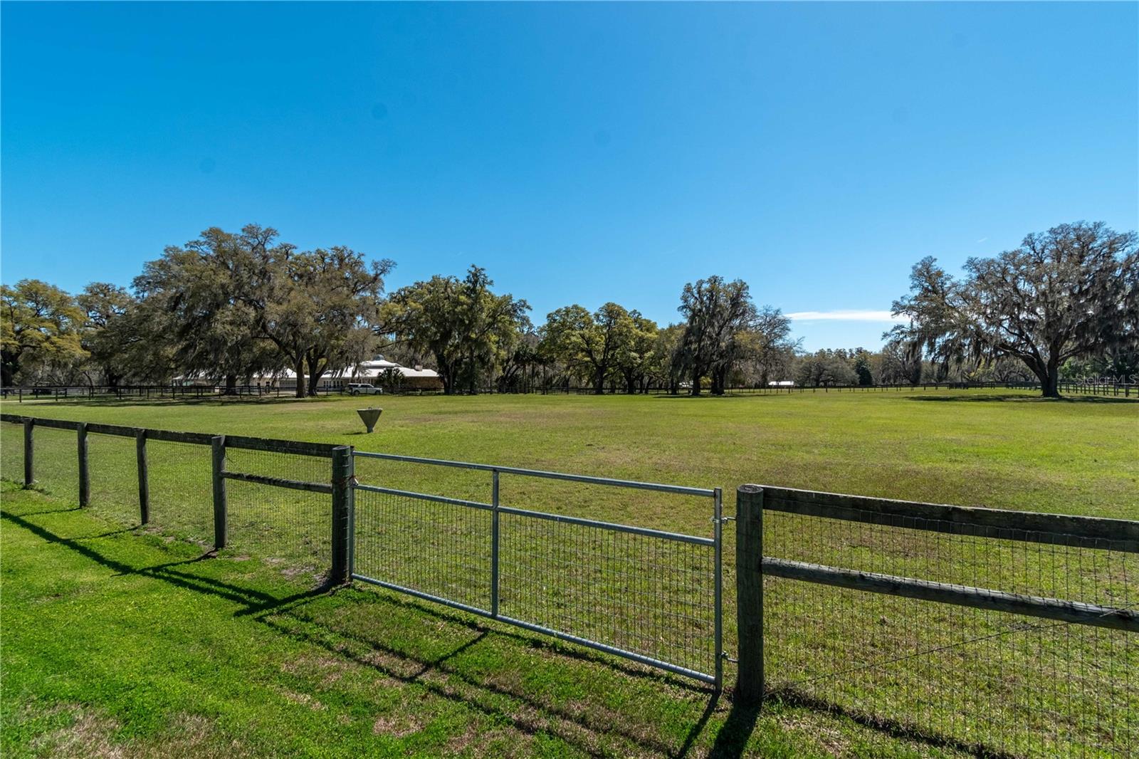 15651 NW 115TH CT, REDDICK, FL, 32686