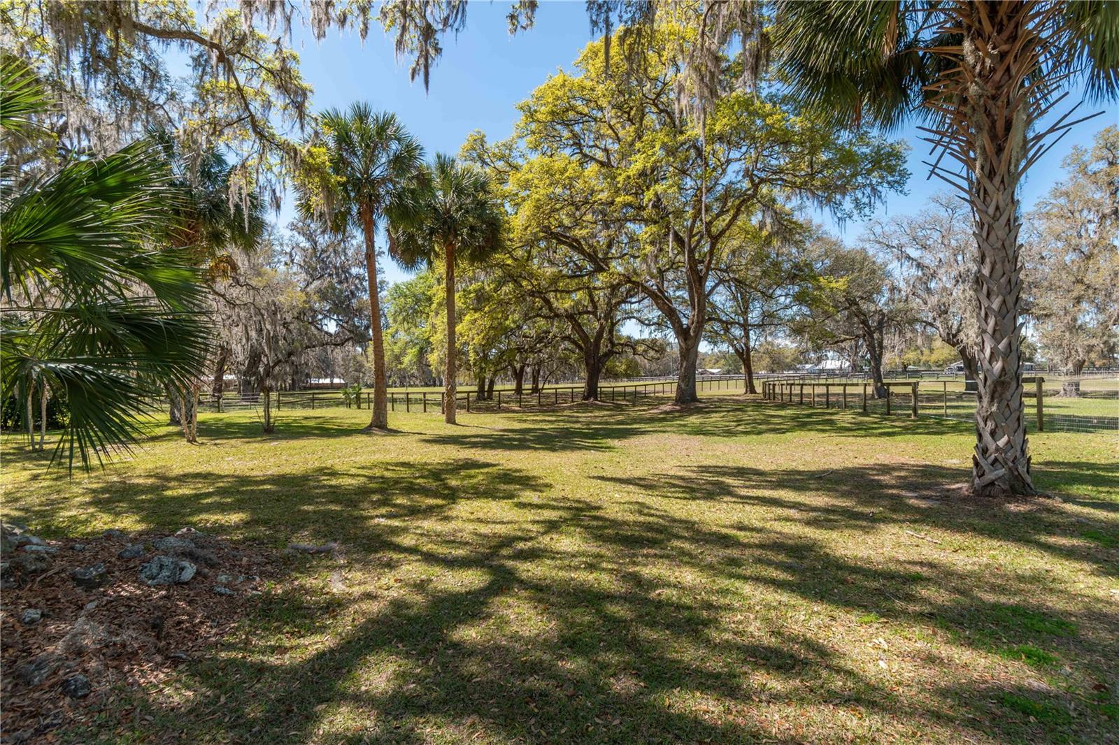 15651 NW 115TH CT, REDDICK, FL, 32686