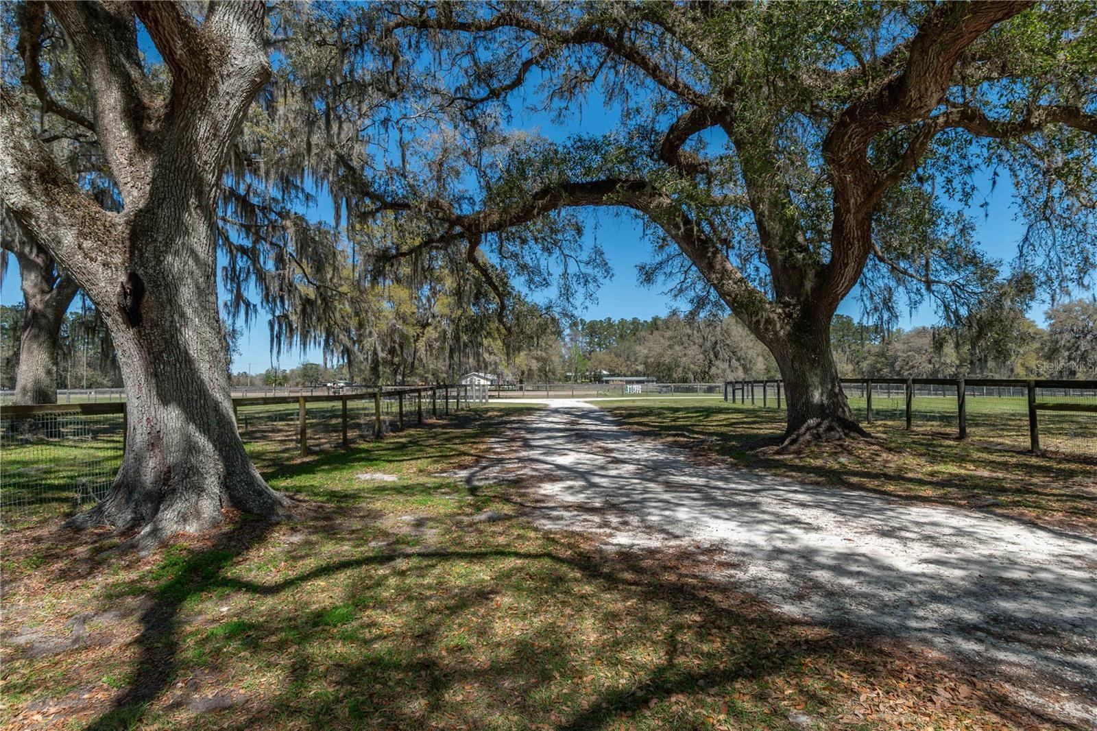 15651 NW 115TH CT, REDDICK, FL, 32686