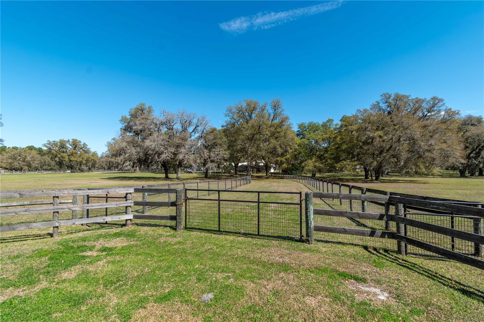 15651 NW 115TH CT, REDDICK, FL, 32686