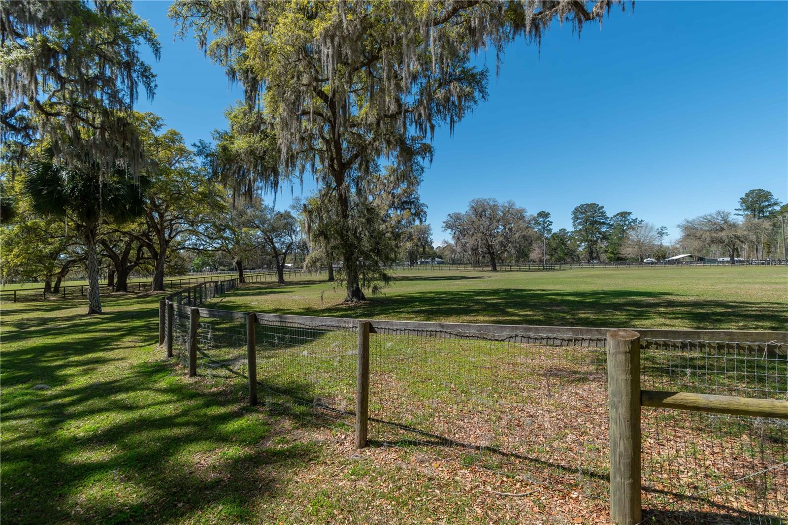 15651 NW 115TH CT, REDDICK, FL, 32686
