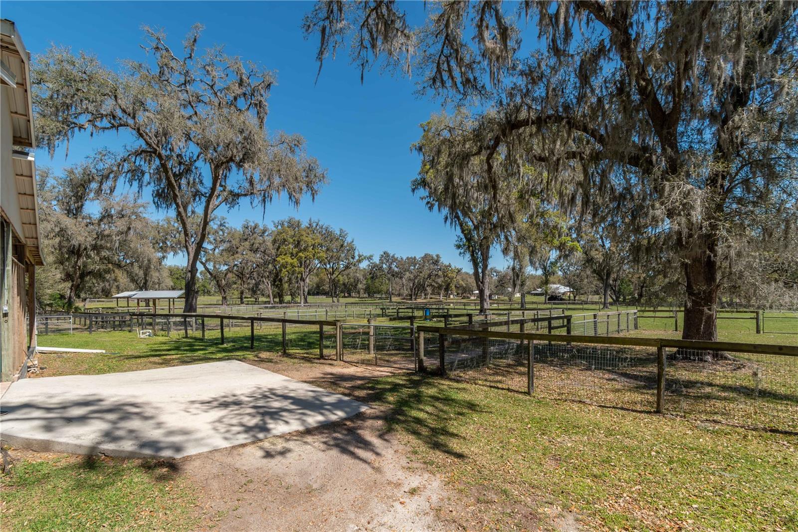 15651 NW 115TH CT, REDDICK, FL, 32686